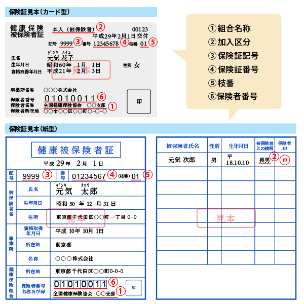 画像：保険証の見本